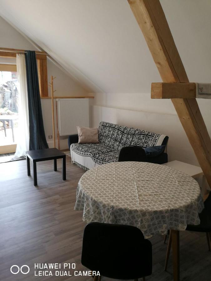Mestansky Dum Rozmberk 31 Apartman Rožmberk nad Vltavou Kültér fotó